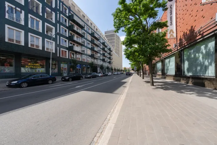 Pronájem bytu 1+kk, Brno - Trnitá, Trnitá, 24 m2