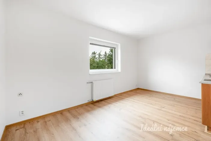Pronájem bytu 1+kk, Říčany - Radošovice, Říčanská, 20 m2