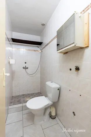 Pronájem bytu 1+kk, Říčany - Radošovice, Říčanská, 20 m2