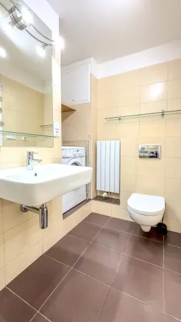 Pronájem bytu 1+kk, Praha - Žižkov, Havlíčkovo náměstí, 32 m2
