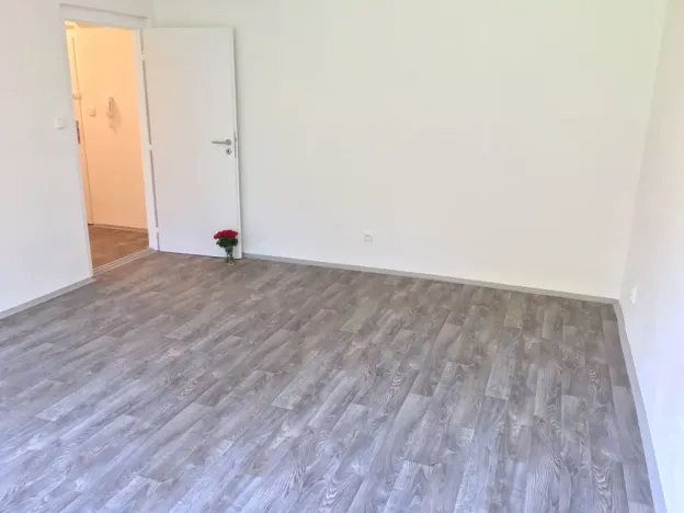 Pronájem bytu 1+1, Ostrava - Hrabůvka, U Haldy, 38 m2