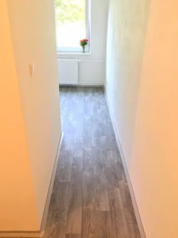 Pronájem bytu 1+1, Ostrava - Hrabůvka, U Haldy, 38 m2