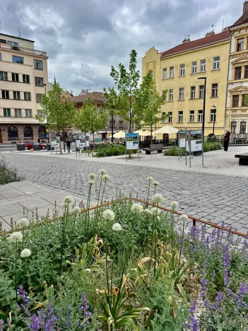 Prodej bytu 2+kk, Praha - Žižkov, Dalimilova, 50 m2