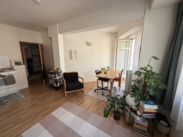 Prodej bytu 2+kk, Praha - Žižkov, Dalimilova, 50 m2