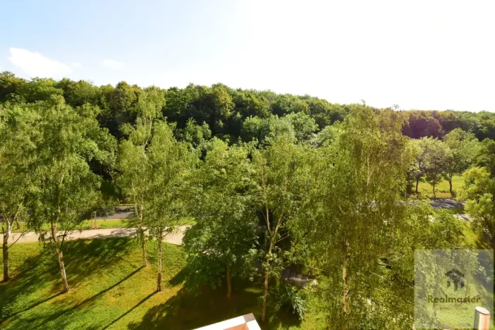 Pronájem bytu 2+kk, Most, Josefa Suka, 44 m2