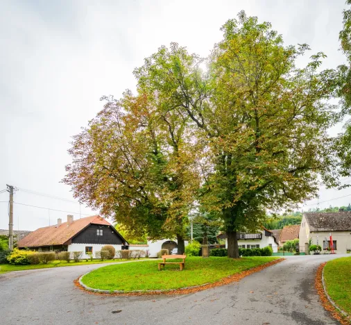 Prodej rodinného domu, Račice, 100 m2