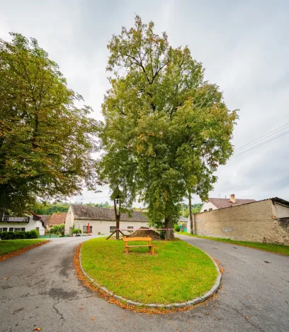 Prodej rodinného domu, Račice, 100 m2