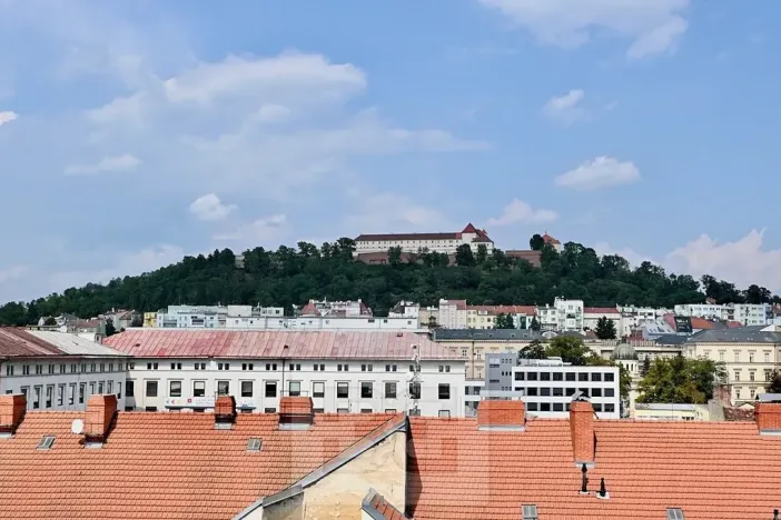 Pronájem bytu 1+1, Brno, Křídlovická, 42 m2