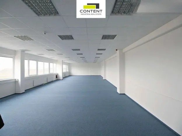 Pronájem výrobních prostor, Hladké Životice, Kujavská, 29000 m2