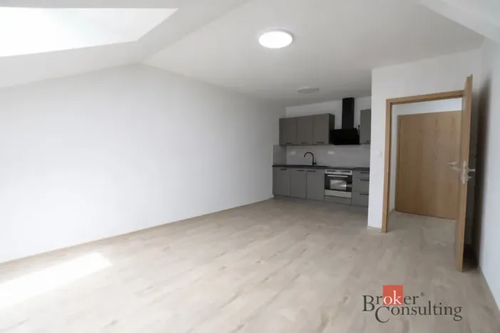 Pronájem bytu 3+kk, Plzeň - Jižní Předměstí, Palackého, 60 m2