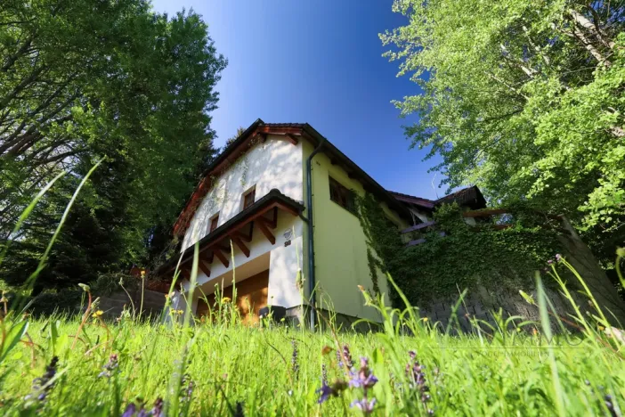 Prodej vily, Přední Výtoň, Frýdava, 299 m2