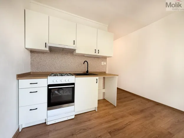 Prodej bytu 1+1, Bílina - Teplické Předměstí, Sídliště Za Chlumem, 35 m2