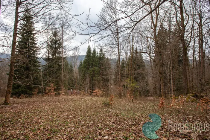 Prodej chalupy, Josefův Důl, 170 m2
