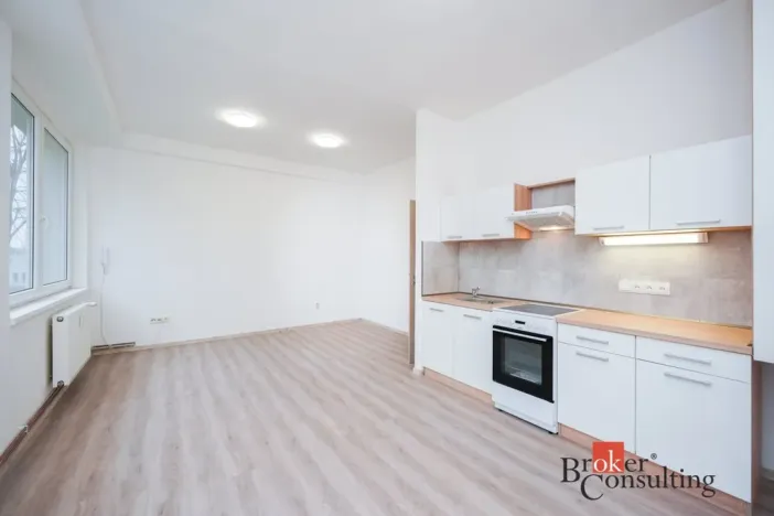Pronájem bytu 2+kk, Mlékojedy, 51 m2