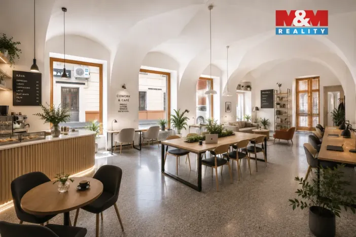 Pronájem obchodního prostoru, České Budějovice - České Budějovice 1, Hradební, 142 m2