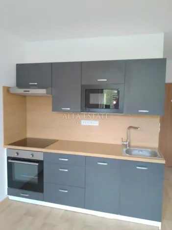 Pronájem bytu 1+1, Chodov, Čs. odbojářů, 36 m2