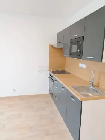 Pronájem bytu 1+1, Chodov, Čs. odbojářů, 36 m2