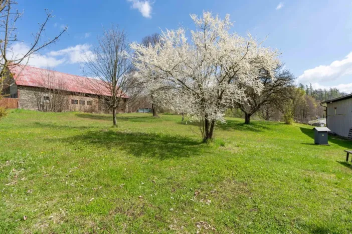 Prodej pozemku pro bydlení, Václavov u Bruntálu - Horní Václavov, 3285 m2
