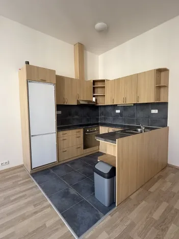 Pronájem bytu 1+kk, Brno - Brno-město, Panská, 39 m2