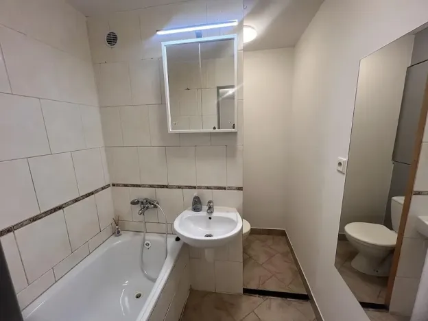 Pronájem bytu 2+1, Bílovec, Radotínská, 44 m2