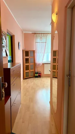 Pronájem bytu 1+1, Cheb, Mánesova, 36 m2