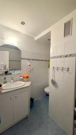 Pronájem bytu 1+1, Cheb, Mánesova, 36 m2