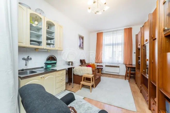 Prodej bytu 1+kk, Praha - Nusle, Sezimova, 22 m2