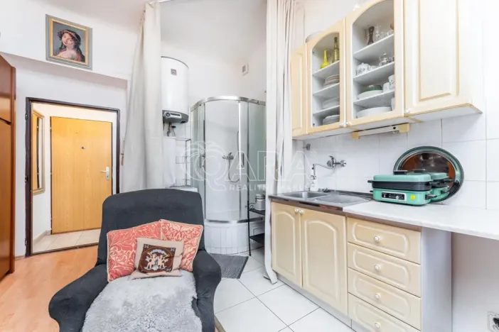 Prodej bytu 1+kk, Praha - Nusle, Sezimova, 22 m2
