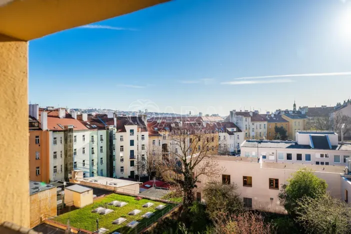 Prodej bytu 1+kk, Praha - Nusle, Sezimova, 22 m2