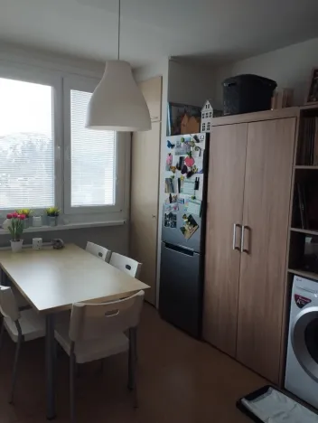 Pronájem bytu 1+1, Ústí nad Labem - Mojžíř, Peškova, 36 m2