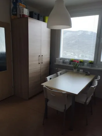 Pronájem bytu 1+1, Ústí nad Labem - Mojžíř, Peškova, 36 m2