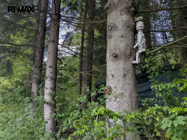 Prodej chaty, Krásná, 54 m2