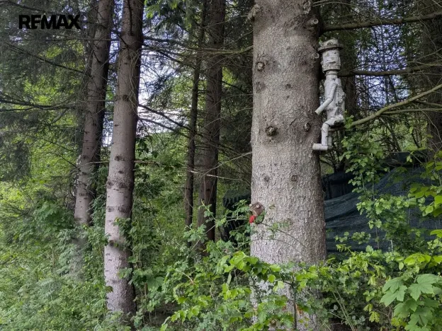 Prodej chaty, Krásná, 54 m2
