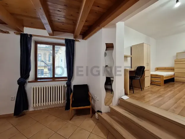 Pronájem pokoje, Olomouc, Panská, 20 m2