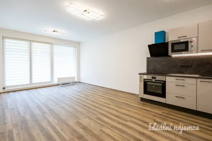Pronájem bytu 1+kk, Praha - Vysočany, Gerstelova, 37 m2