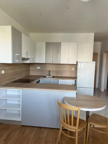 Pronájem bytu 1+1, Hradec Králové - Nový Hradec Králové, Durychova, 46 m2