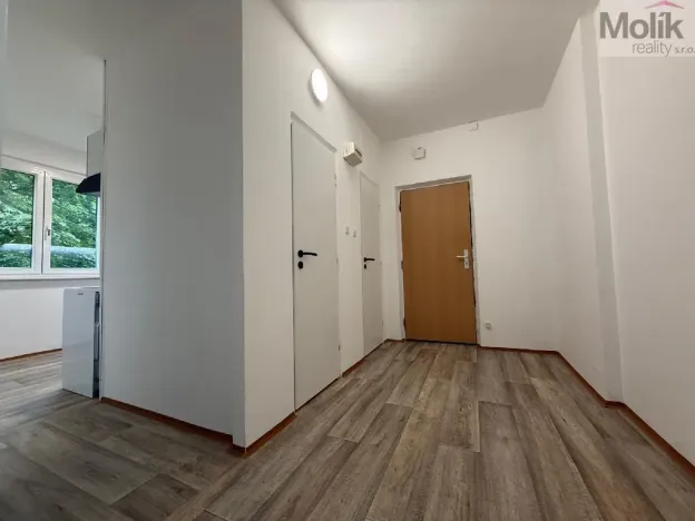 Pronájem bytu 2+1, Most, Pionýrů, 54 m2