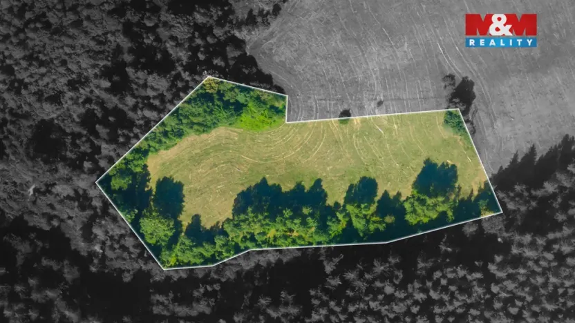 Prodej louky, Český Dub - Libíč, 12591 m2