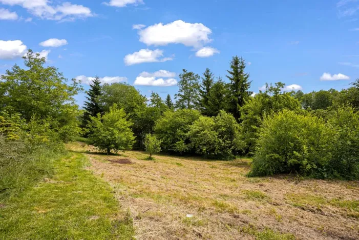 Prodej pozemku pro bydlení, Vysoké nad Jizerou, 1785 m2