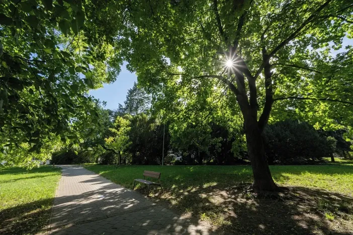 Prodej bytu 4+1, Brno, Jugoslávská, 120 m2
