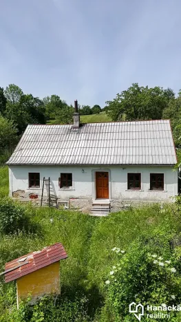 Prodej chalupy, Dlouhá Loučka, 80 m2