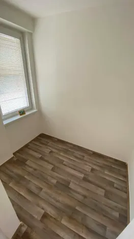 Pronájem bytu 1+1, Brno, Palackého třída, 50 m2