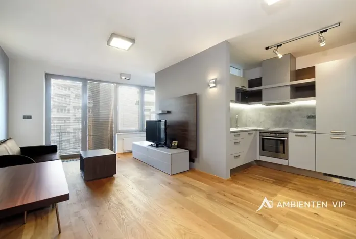 Pronájem bytu 1+kk, Brno, Kopečná, 40 m2