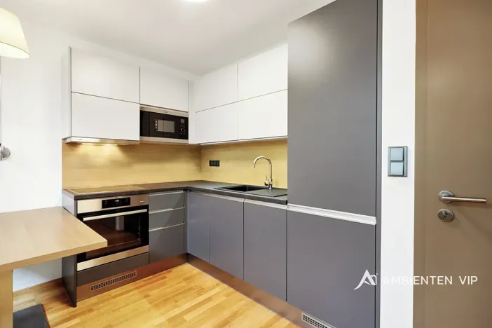 Pronájem bytu 2+kk, Brno, Jánská, 53 m2