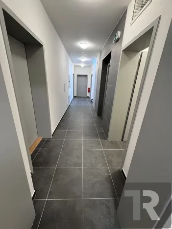Pronájem bytu 1+kk, Dobřany, Denksteinova, 39 m2