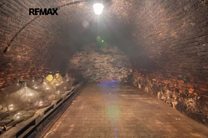 Prodej vinného sklepa, Brod nad Dyjí, 70 m2
