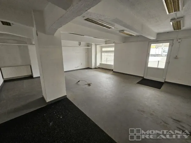 Pronájem obchodního prostoru, Olomouc, Pasteurova, 550 m2