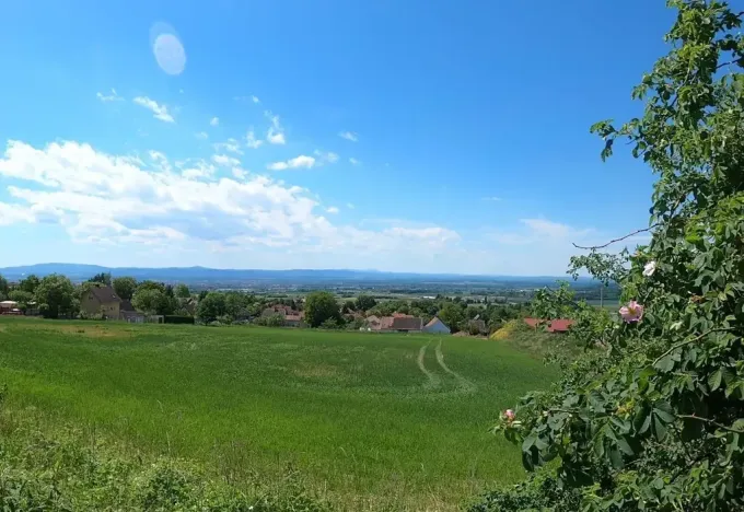 Prodej pozemku pro bydlení, Adamov, Na werku, 846 m2