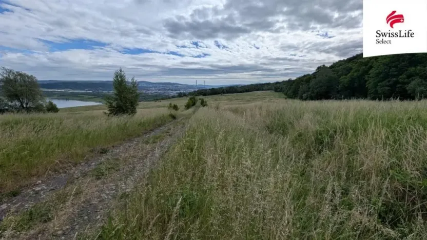 Prodej louky, Ústí nad Labem, 216333 m2