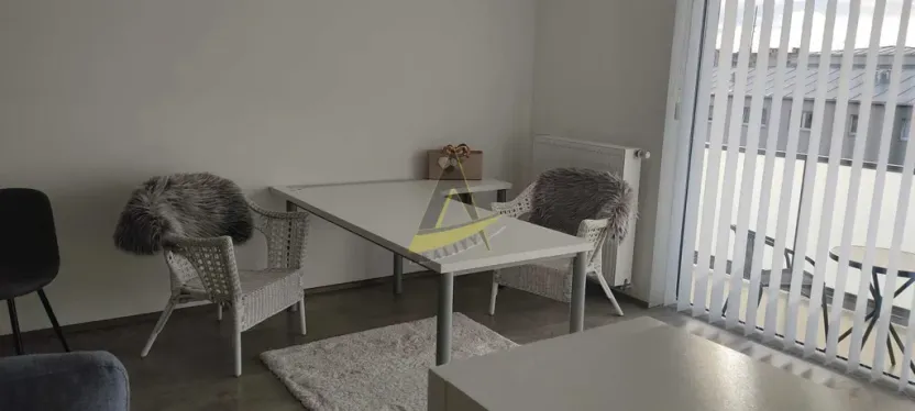 Pronájem bytu 1+kk, České Budějovice - České Budějovice 3, Jírovcova, 57 m2